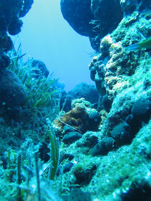 Coll TU 069.JPG